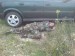 DSC00676.JPG