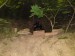 DSC00878.jpg
