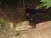 DSC00879.jpg