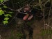 DSC00883.jpg