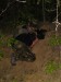 DSC00884.jpg