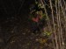DSC00886.jpg