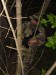DSC00888.jpg