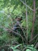 DSCN5390